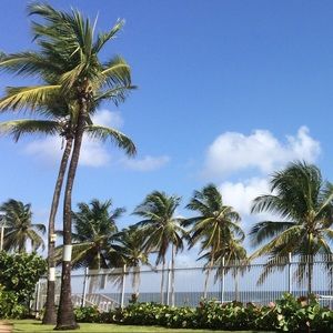 Meet your Posher, Abigail